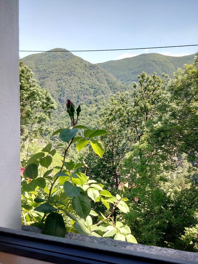 Rustico "Casa Di Sasso" Villa Intragna Exterior photo
